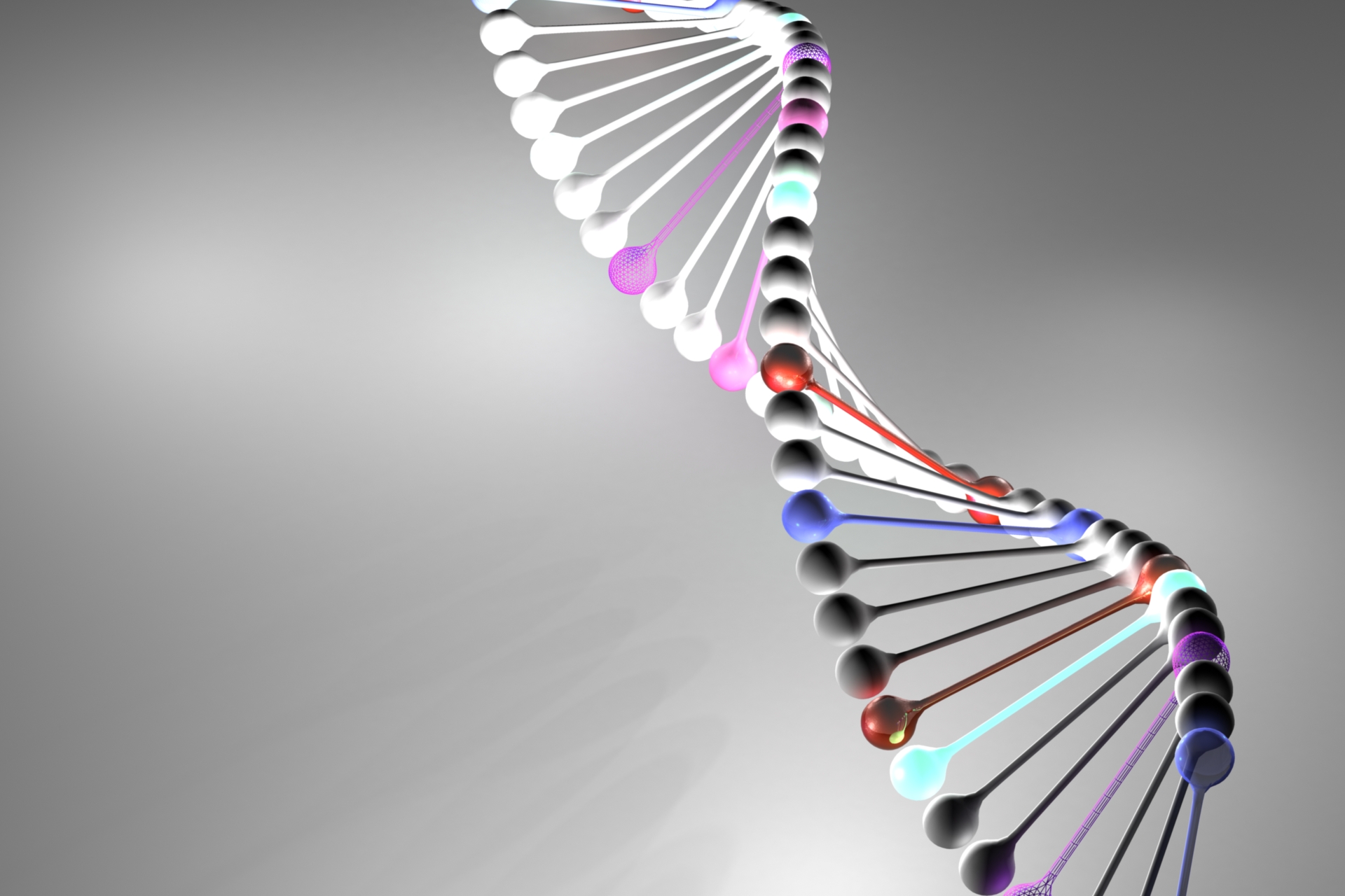 imageDNA3.jpg
